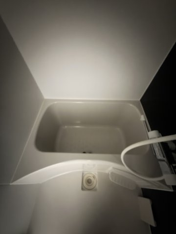 中天マンションの浴室