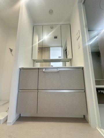 S-RESIDENCE愛宕SOUTHの独立洗面台