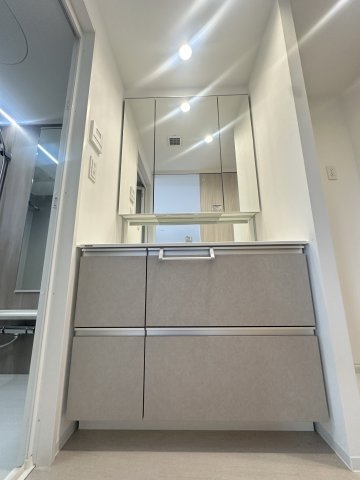 S-RESIDENCE愛宕SOUTHの洗面所