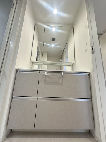 S-RESIDENCE愛宕SOUTHの独立洗面台