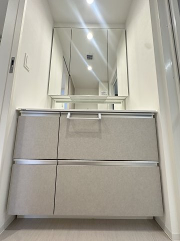 S-RESIDENCE愛宕SOUTHの独立洗面台