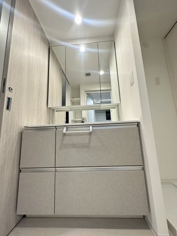 S-RESIDENCE愛宕SOUTHの独立洗面台