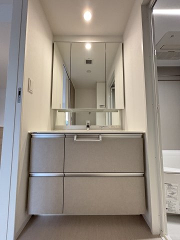 S-RESIDENCE愛宕SOUTHの洗面所