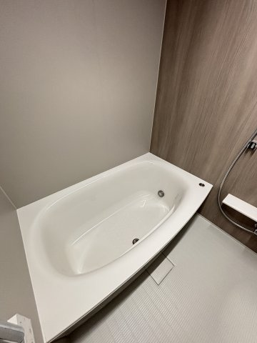 S-RESIDENCE愛宕SOUTHの浴室