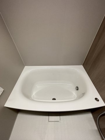 S-RESIDENCE愛宕SOUTHの浴室