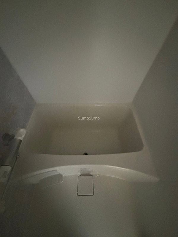 S-RESIDENCE大阪九条Northの浴室