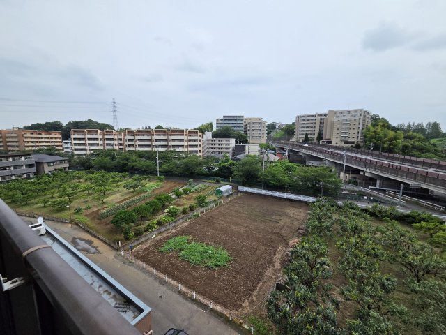 川崎市麻生区片平２丁目の賃貸マンションの展望