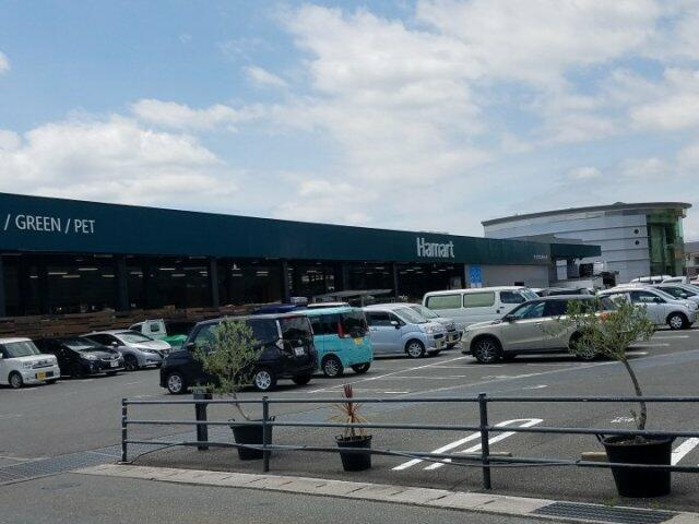 ナプア薊野の周辺|ホームセンターハマー…まで244m 