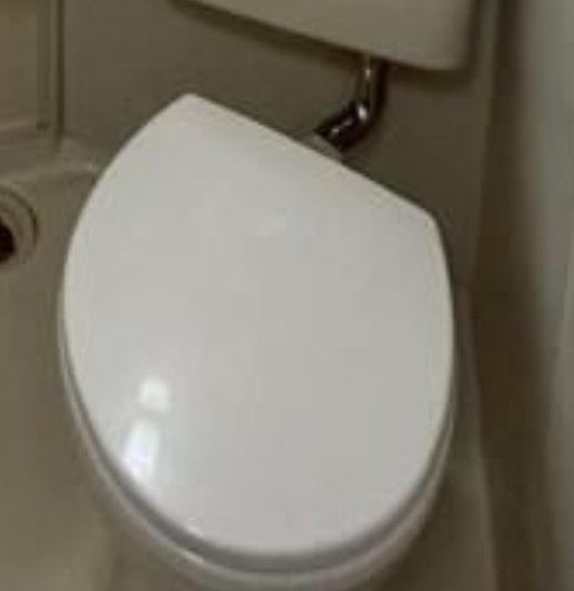 ＤＲホームズ草加のトイレ