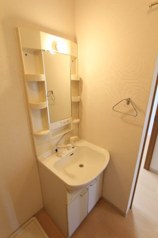 エクセーラ楠の洗面所