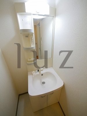 メゾン柳の洗面所
