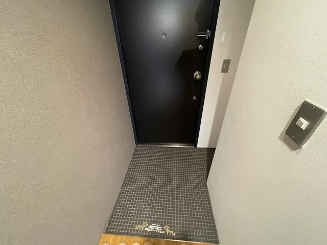 アーデンタワー南堀江の玄関|イメージとして同マンション他部屋を表示しています