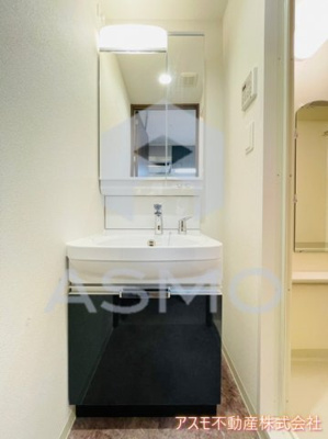 【洗面所】 | プレサンス松屋町ヴィゴラス | 同マンション別部屋参考写真