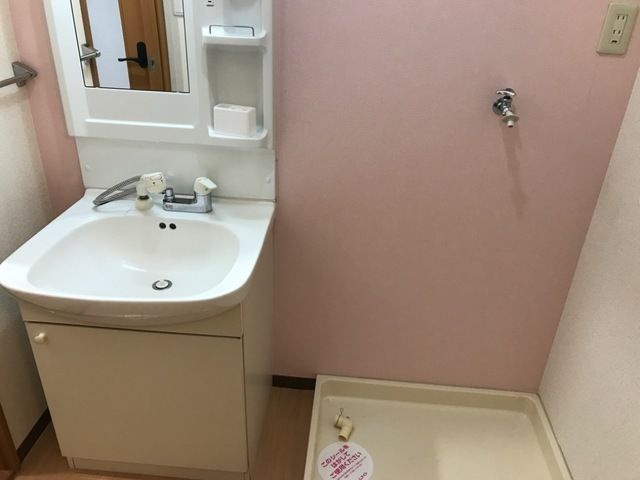 ガーデンハイム壱番館の洗面所