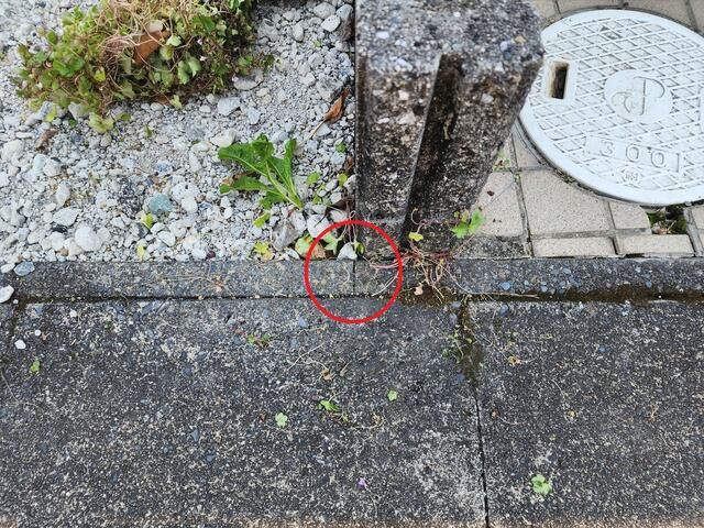 【その他】