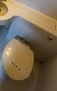 相模原市中央区千代田５丁目の賃貸マンションのトイレ