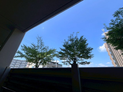 【展望】 | エクセレンス青山