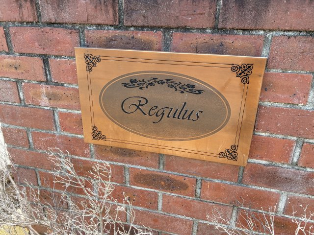 Regulus(レグルス)のその他