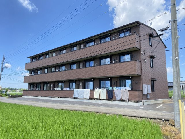Regulus(レグルス)
