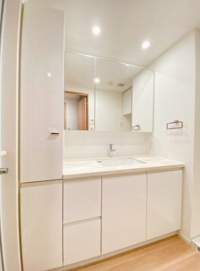 Beverly Homes 豊島園の洗面所