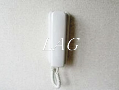 【セキュリティ】 | ＴＳ１ | インターホン受話器です。