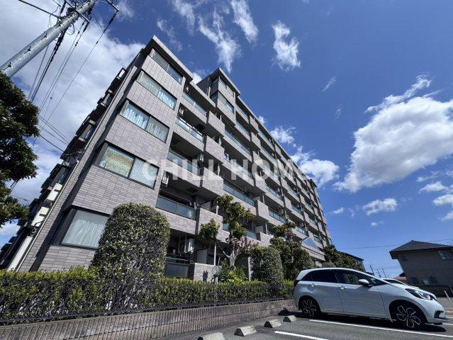 シャトレ　M