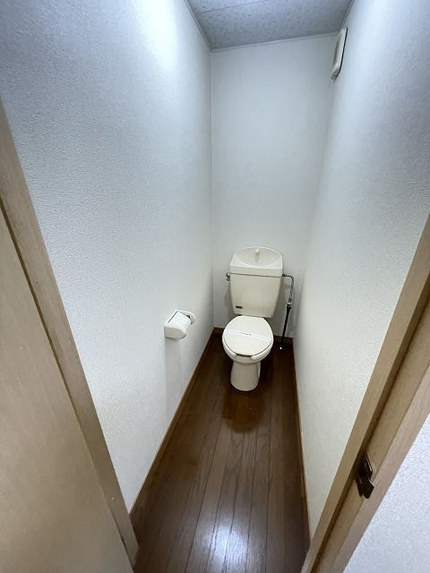レオパレスツツミ28のトイレ