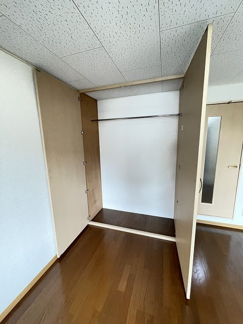 レオパレスツツミ28の収納