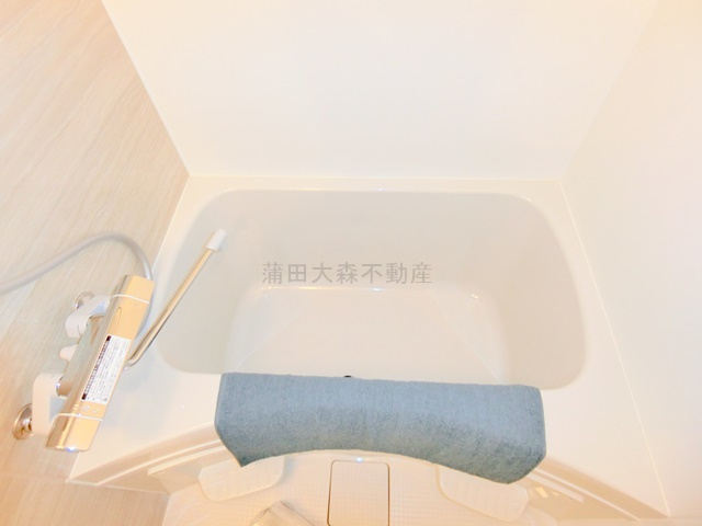 address HONHANEDA(アドレスホンハネダの浴室