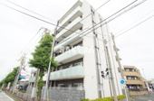 ライムグリーンの画像