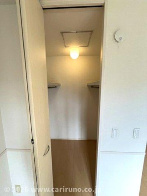 【収納】 | チェリーセージ