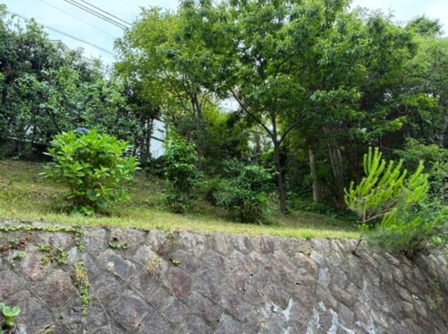 仁川高台2丁目の庭|静かで緑豊かな住宅地です。

