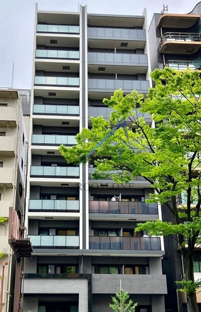 プレシャス川崎ブリシアコート