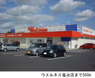 【周辺】 | ｔｗｉｎ　ａｖａｎｔｉ　Ｂ | ウエルネス塩冶店まで550m