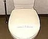 菱和パレス立教大学前・国際ハイムのトイレ