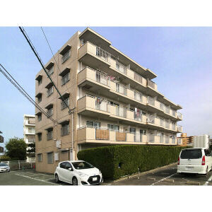 福岡市南区野多目１丁目の賃貸マンション