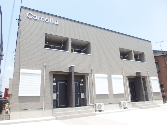 Camellia（カメリア）