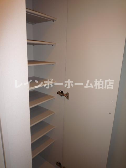特典：仲介手数料が無料です!!の収納|収納があります