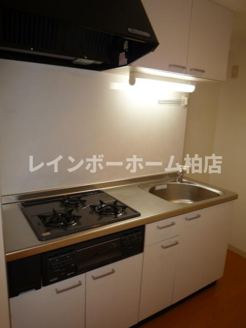 特典：仲介手数料が無料です!!のキッチン|コンパクトなキッチンで掃除もラクラク