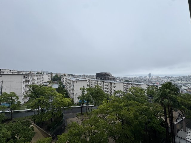 パームスクエアジェームス山の展望