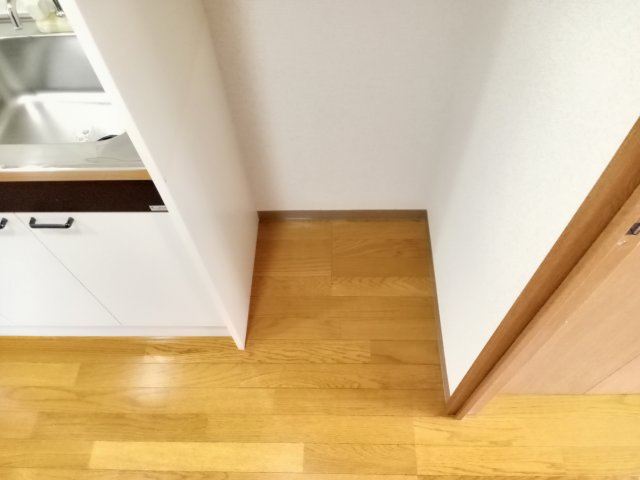 川崎市多摩区中野島６丁目の賃貸マンションの内装