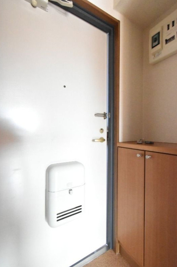 越谷市赤山町１丁目の賃貸マンションの玄関