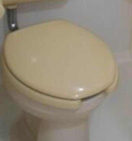 ブルーハイツＴのトイレ