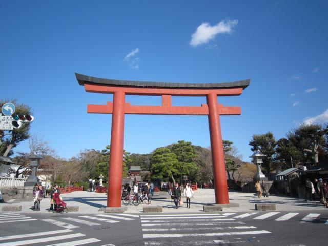 フェスタリア鎌倉のその他|鶴岡八幡宮