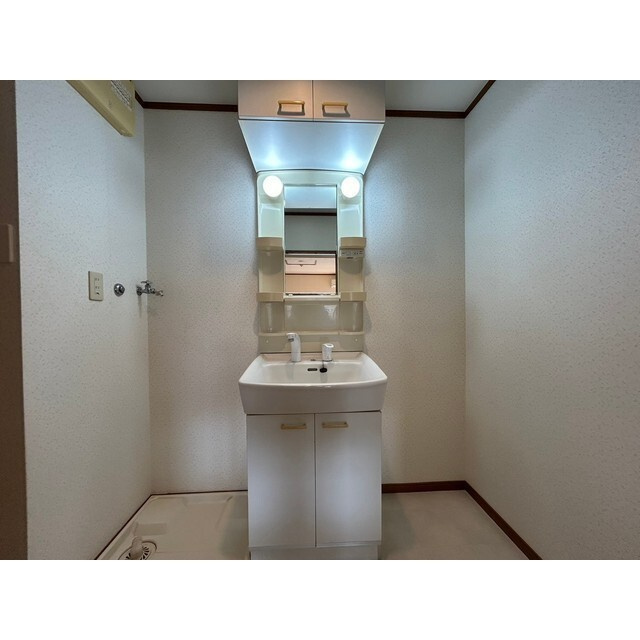 ホープ花屋敷の独立洗面台