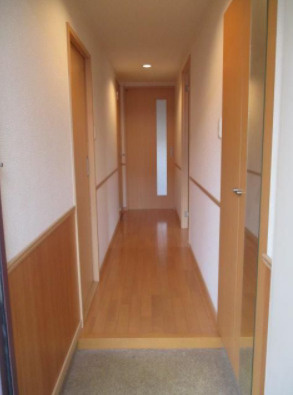 福岡市南区曰佐２丁目の賃貸マンションの玄関