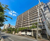  宇喜田カメリアの画像