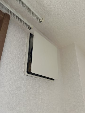 ラトレ白鳥のその他