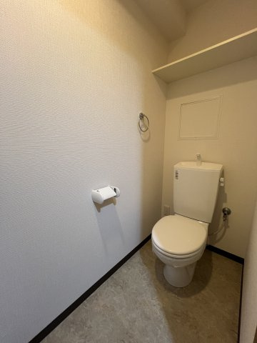 ラトレ白鳥のトイレ|落ち着いた色調のトイレです
