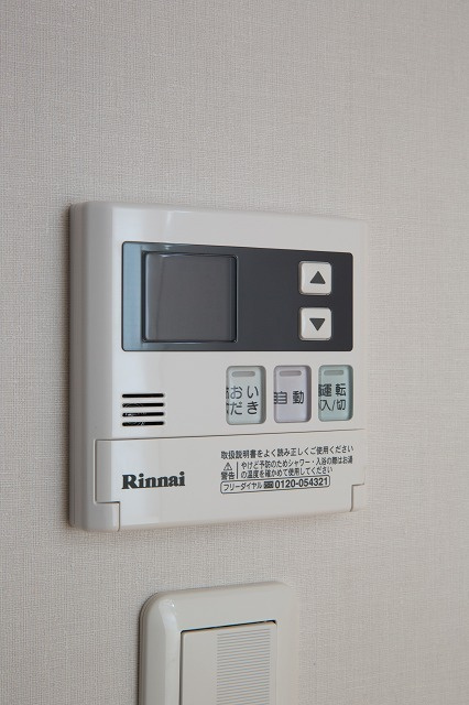 ラピュターのその他|その他